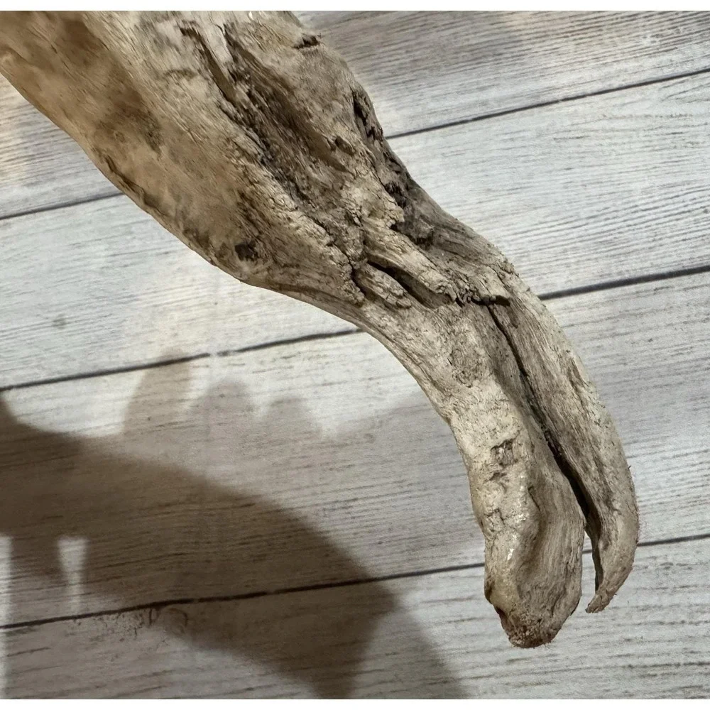 Vtg Piece of Driftwood that looks like a Dinosaur or Snake 17